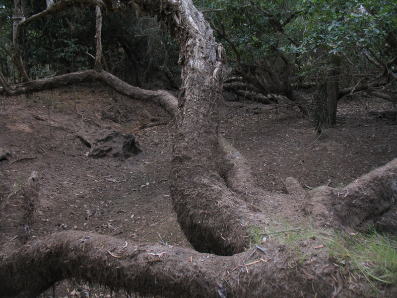 Lakefield National Park - Walkabout